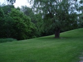 DSC08019.JPG
